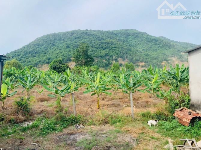 Bán đất Châu Pha, giáp ranh Tân Hưng, TP Bà Rịa  - Dt 15x50, CLN, phủ hồng (tổng 750m2), - 4