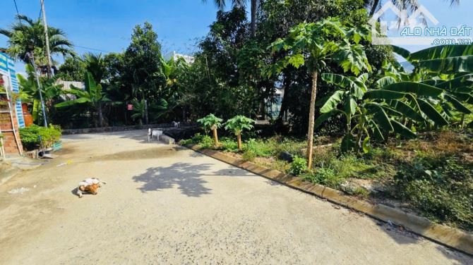 đất Thổ Cư cách Nha Trang 8km, giá tốt Diên Toàn - Diên Khánh. - 4