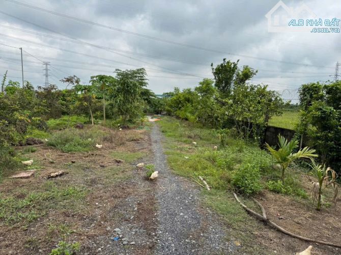 Bán đất vườn cây ăn trái xã Trung An Củ Chi TPHCM, DT: 1390m2. - 4
