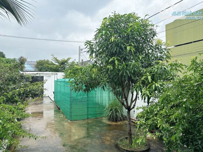 CẦN      BÁN – NHÀ VƯỜN ĐẸP - MẶT TIỀN ĐƯỜNG SỐ 3- XÃ HOÀ LONG, TP. BÀ RỊA - 4