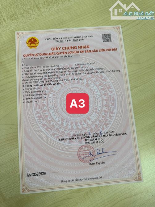 BÁN GẤP LÔ ĐẤT RẺ NHẤT TP. VĨNH YÊN-TDP ĐÔNG QUÝ 98m MT7M sđcc giá chỉ 980Tr - 4