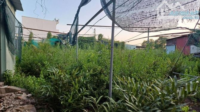 PHÁ SẢN BÁN GẤP 2000M2 MẶT TIỀN ĐÀO SƯ TÍCH NHÀ BÈ - 4