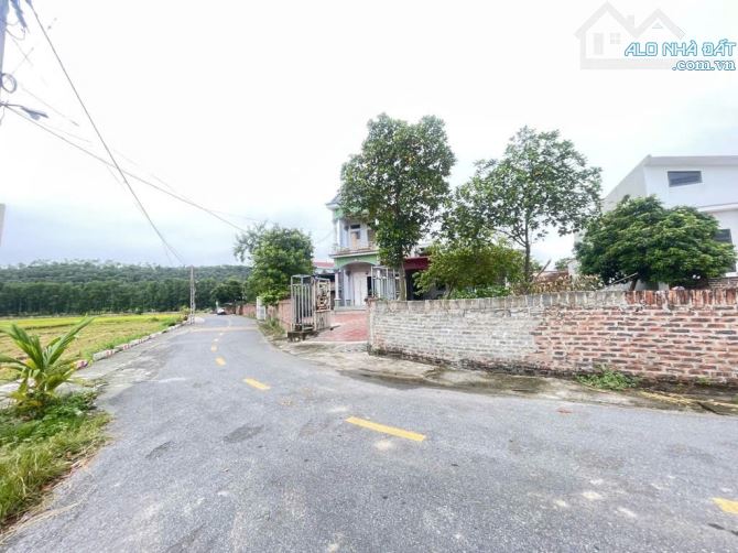 Bán 188m tại Cộng Hòa, Phù Linh. Lô đất đầu tư, an cư giá tốt - 4