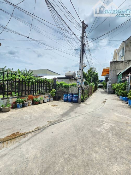 Bán đất 4.1x24m, hẻm Cây Da p. Tân Đông Hiệp gần Ngã Tư Chiêu Liêu - 5