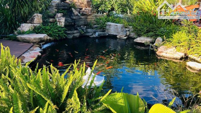 🌈🌈 BÁN CĂN VILLA NHÀ VƯỜN – CHILL TỚI NÓC Ở XUYÊN MỘC Mua xong là khỏi đi resort nữa – v - 5