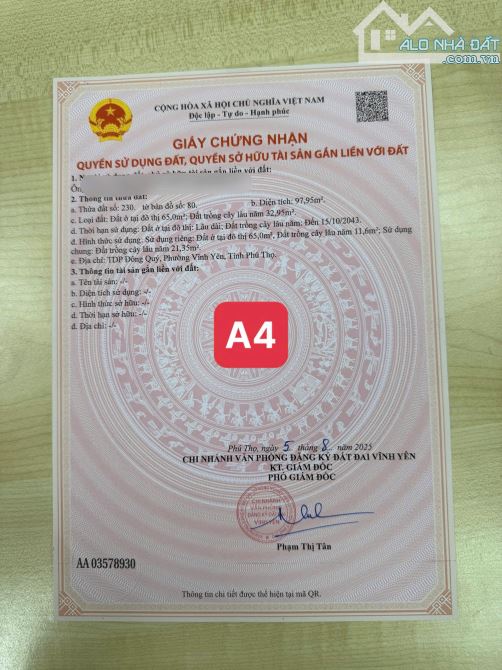 BÁN GẤP LÔ ĐẤT RẺ NHẤT TP. VĨNH YÊN-TDP ĐÔNG QUÝ 98m MT7M sđcc giá chỉ 980Tr - 6