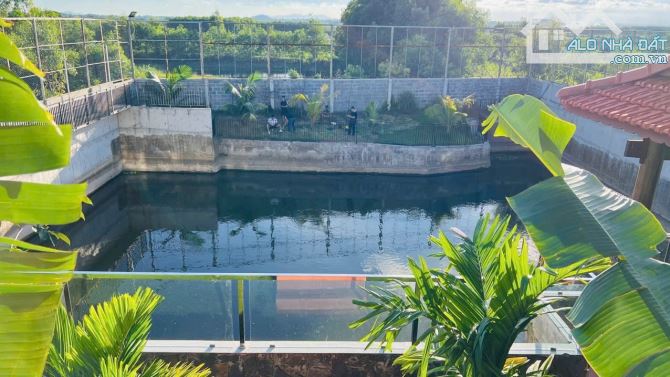 🌈🌈 BÁN CĂN VILLA NHÀ VƯỜN – CHILL TỚI NÓC Ở XUYÊN MỘC Mua xong là khỏi đi resort nữa – v - 6