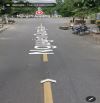 Bán nhà kiểu Biệt thự Nguyễn Quang Lâm Hòa Xuân
