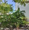 Sập hầm lô đất vuông nét đường Bàu Mạc 6
