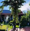 🌈🌈 BÁN CĂN VILLA NHÀ VƯỜN – CHILL TỚI NÓC Ở XUYÊN MỘC Mua xong là khỏi đi resort nữa – v