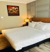 Bán khách san mặt phố Nguyễn Trường Tộ 172m2 x 16 tầng - 165 Tỷ - Dòng tiền 29 tỷ/năm