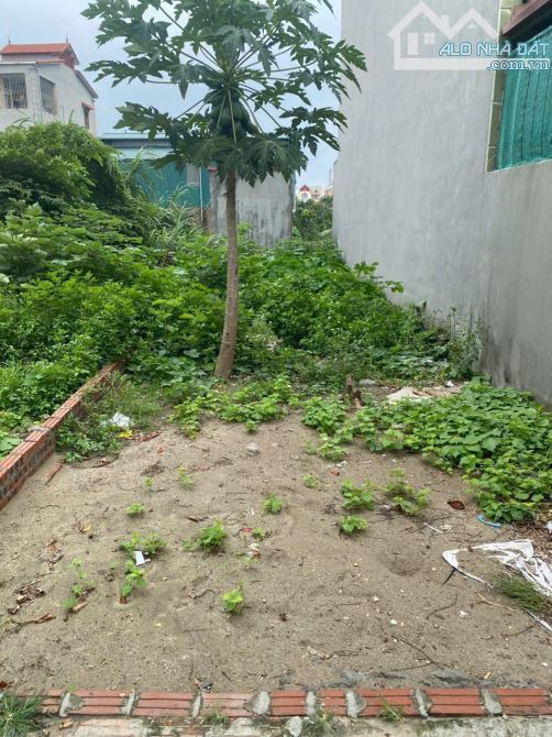 BÁN ĐẤT ĐỨC THƯỢNG - HOÀI ĐỨC - HÀ NỘI - 66,7m2 - GIÁ RẺ NHẤT KHU VỰC
