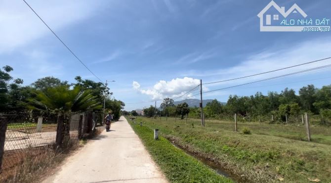 Bán 1782m2 đất quy hoạch full thổ cư Chỉ 745triệu tại Ninh An- Ninh Hoà - 3