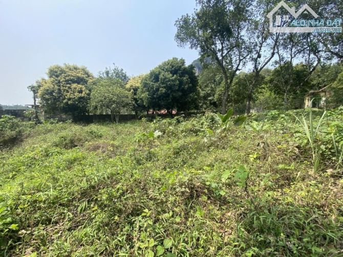 🌿 BÁN ĐẤT ĐẸP LÀM NHÀ VƯỜN – TT. LƯƠNG SƠN, HÒA BÌNH 🌿