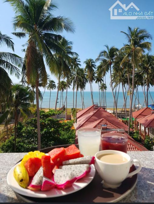 Bán resort 2200m2 thổ cư mặt tiền Nguyễn Đình Chiểu, Hàm Tiến lô hiếm