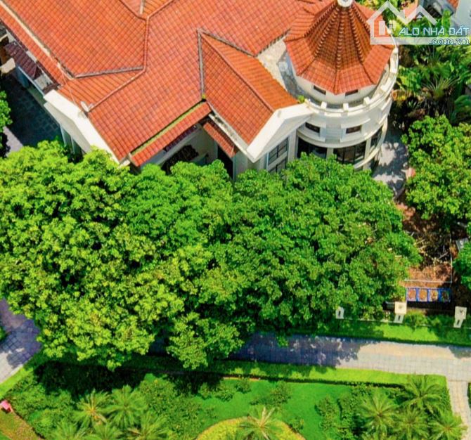 TOP 3 BIỆT THỰ ĐƠN LẬP GÓC ĐẸP TẠI CIPUTRA  (265M² - 426M² - 638M²)