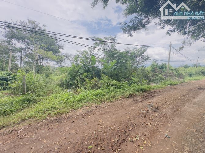 BÁN 2 sào 7 ĐẤT NÔNG NGHIỆP KOMLEO – GIÁ TỐT 4 bìa riêng chỉ 2tỷ1