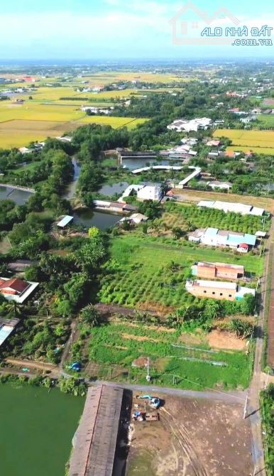 Quá ngộp, 1172m2 đất thổ cư KDC Nhựt Tảo, 22x 51m, chốt 850tr