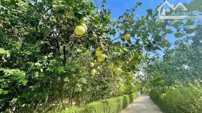 💎 Đất 2 mặt tiền siêu hiếm – ven Sông Hương, Long Hồ cũ – p. Kim Long, TP Huế