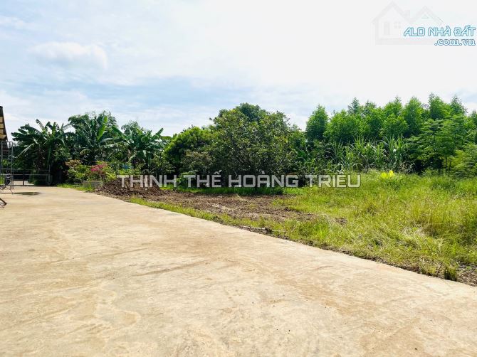 BÁN ĐẤT KIỆT ĐƯỜNG THANH NIÊN- ĐÔNG GIANG