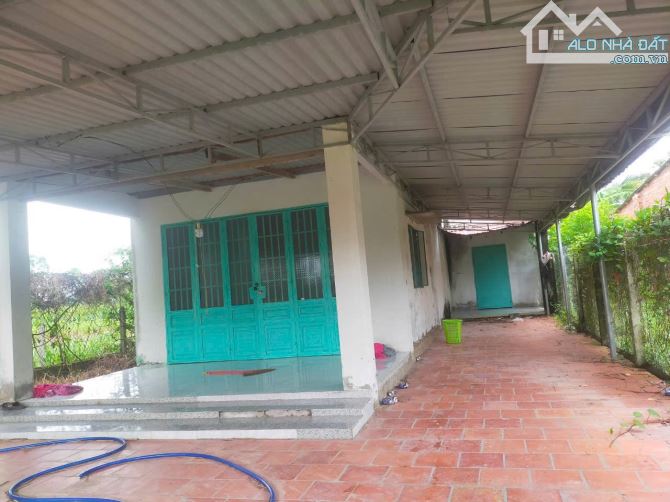 Bán gấp nhà 289m xã cẩm giang, gò dầu , tây ninh, giá 550 triệu hết nhà đất, sổ riêng