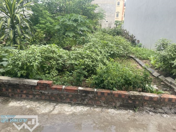 ĐẤT PHÂN LÔ CỰC ĐẸP – TẰNG MY, NAM HỒNG, ĐÔNG ANH (HN) . 42m² full thổ cư – MT 5.4m