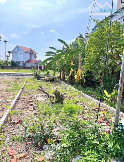 Bán lô đất trục liên  thôn lâm động thủy nguyên hải phòng
