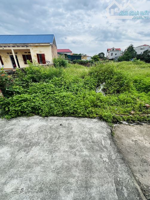 BÁN ĐẤT GẦN SÂN BAY GIA BÌNH.BẮC NINH_ PHÂN LÔ_Ô TÔ VÀO DẤT_DT 98,5M_GIÁ 1 TỶ XX