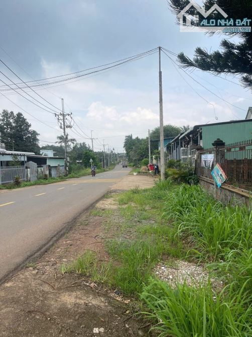 Bán đất Mặt Tiền Nguyễn Hoàng 700m2 Xã Trảng Bom, Đồng Nai. Gần Trung Tâm Trảng Bom.