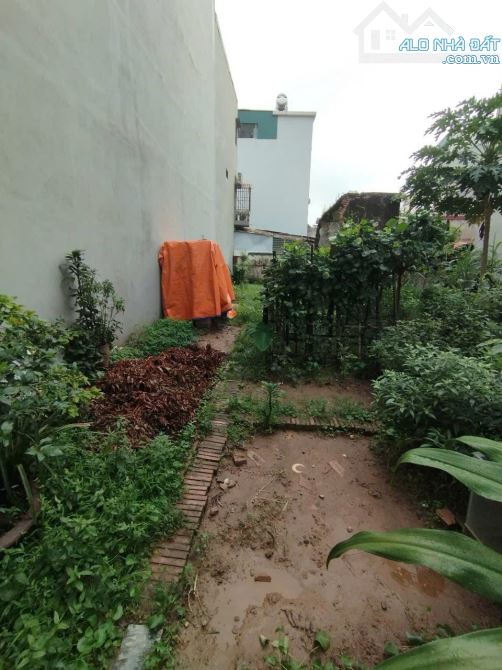Bán đất Phố Tân Thụy, 98m2, ô tô thông, vị trí vàng, 14.45 tỷ