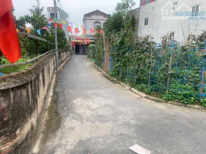 Bán Lô góc 2 mặt đường ô tô tại Ngọc Động, Bát tràng, DT: 62m2 đường rộng 3,5m xe 7 chỗ và