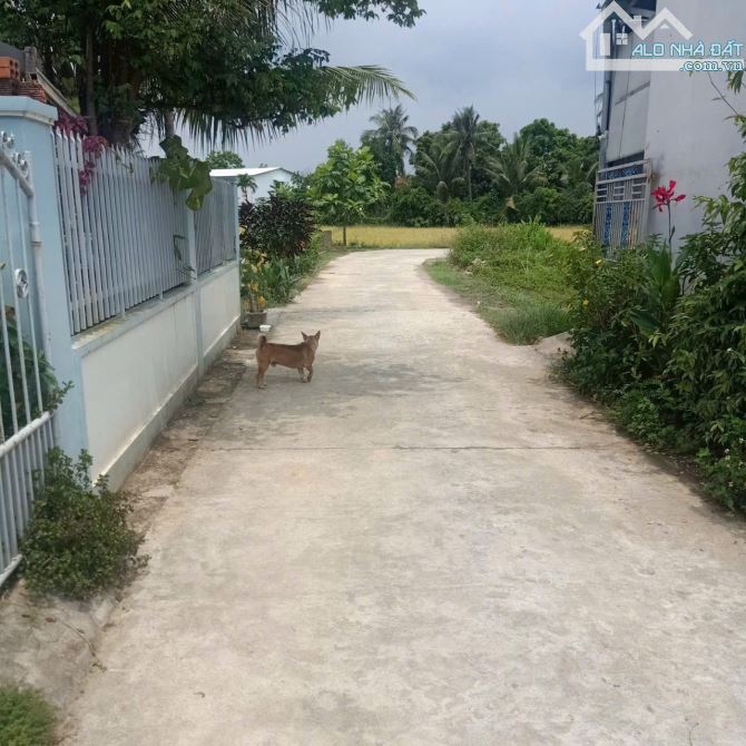 Lô đất siêu rẻ, rẻ nhất thị trường DIÊN AN DIÊN KHÁNH KHÁNH HOÀ