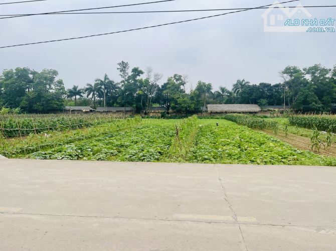 BÁN GẦN 500M² ĐẤT NÔNG NGHIỆP – THANH TRÌ – CHỈ 1.3 TỶ
