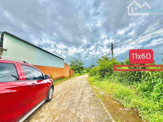 Đất thôn 8 Cưbua 11x60=603m2 có thổ cư MTđường 8m!