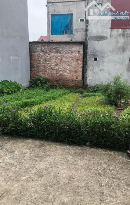 42m Giao Tất, Gia Lâm Hà Nội giá chỉ 2 tỷ3