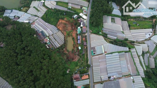 ĐẤT MT ĐƯỜNG CAM LY VIEW THÔNG THUNG LŨNG 4555m2 THÍCH HỢP LÀM KHU DU LỊCH