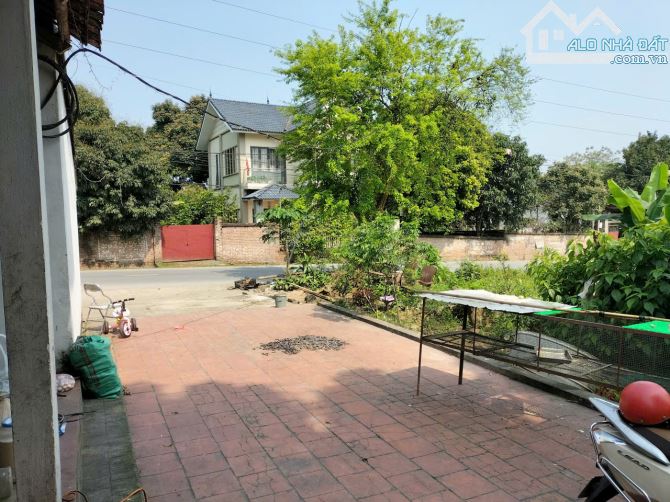 Đất Đồng Lương, Cẩm Khê,Phú Thọ 335m2, Mặt tiền 8m, đường thênh thang,  chỉ 1,8 tỷ