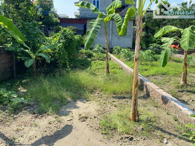 Bán mảnh đất 71m² tại thuận thành bắc ninh.ngõ (2,5m)