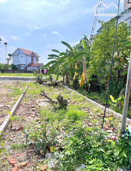 HÀNG HIẾM trục liên thôn Lâm Động (cũ), Thuỷ Nguyên, Hải Phòng ✅giá 3,1 tỷ.