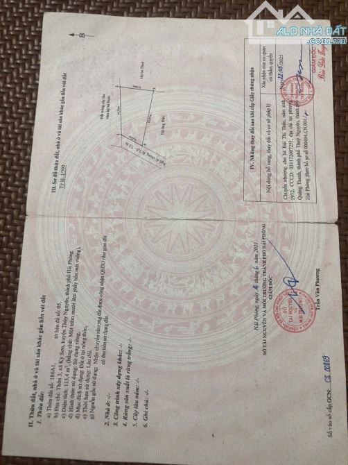 Hàng giá rẻ đẹp tại kỳ sơn thủy nguyên hải phòng  DT 115m Cách đường liên thôn 50 m