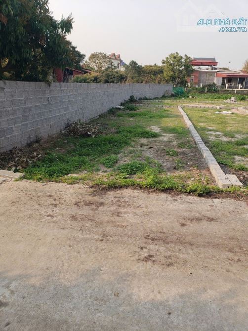 ĐẤT ĐẸP TRÂU QUỲ.GIA LÂM: LÔ GÓC_Ô TÔ TRÁNH_KINH DOANH_MẶT TIỀN 5,5M_ GIÁ 7 tỷ 8