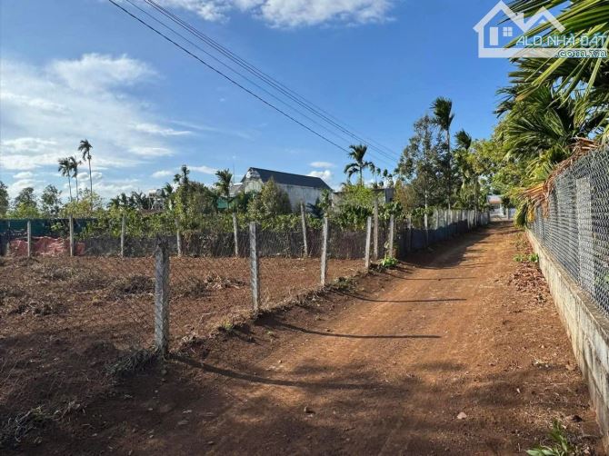 THỔ CƯ GIÁ RẺ EA TIÊU- CƯKUIN CHIỈ 390Triệu