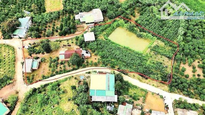 ✅NHÀ VƯỜN ĐẸP GIÁ TỐT. Bán nhà vườn đẹp đường Blaoxere, Đại Lào, phường 3 Bảo Lộc