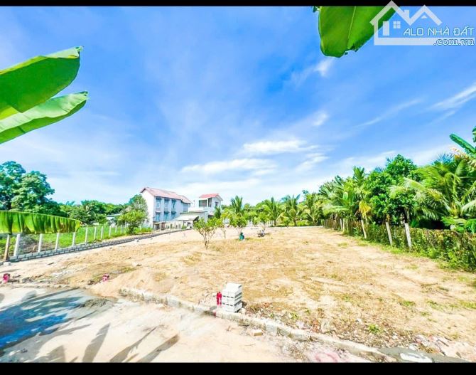 2 Lô Liền Kề Trung Tâm Xã Diên Lâm, Cách Đường Hương Lộ 39 Chỉ 40 Mét Giá 750 Triệu/Lô