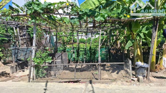 Hạ giá bán nhanh lô đất Phú Ân Nam - Diên An  Diện tích: 78,5m2, full thổ cư - 1