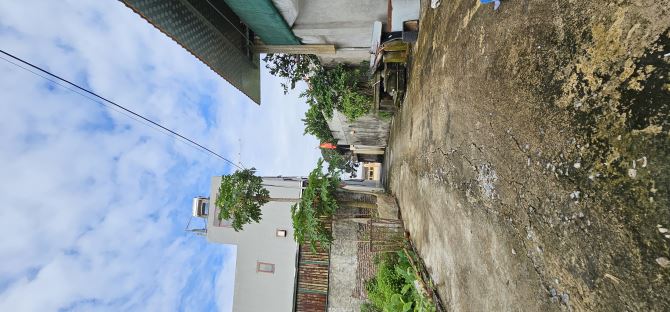 Bán đất ô tô vào đất, Thôn Đào Xá, Thắng Lợi, Thường Tín, Hà Nội - 5