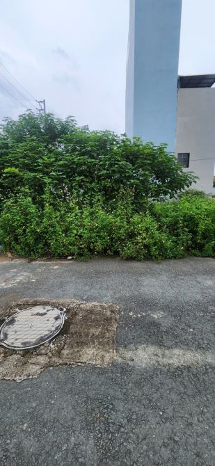 🌟 BÁN ĐẤT VÂN CANH – HOÀI ĐỨC | LÔ ĐẸP 79.5M² – MẶT TIỀN 6M | GIÁ ĐẦU TƯ CỰC HỢP LÝ 🌟 - 4