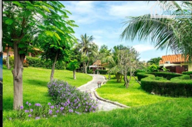 Bán resort 2ha mặt tiền biển Nguyễn Đình Chiểu, Hàm Tiến khu phố Tây vip - 2