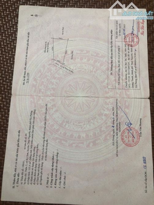 Hàng giá rẻ đẹp tại kỳ sơn thủy nguyên hải phòng  DT 115m Cách đường liên thôn 50 m không - 1