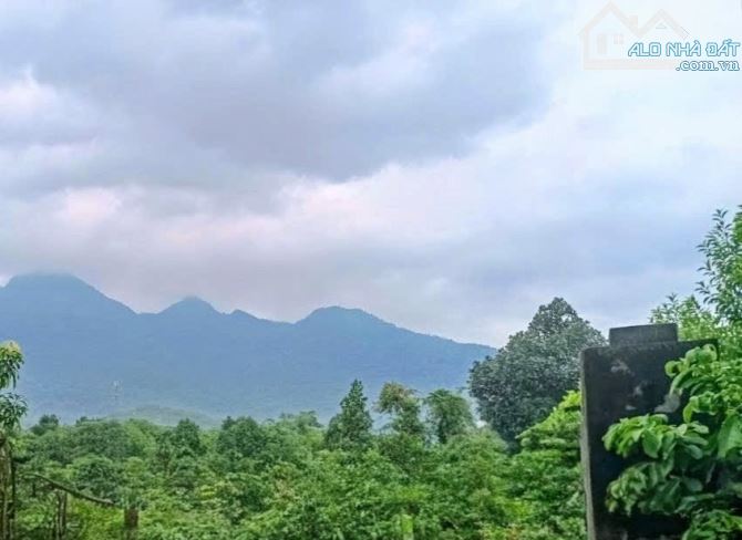 Chỉ hơn 4tr/m2 đất đẹp Vân Hòa, Yên Bài, oto tránh, đg nhựa, gần trục chính, với 2840m2 - 1